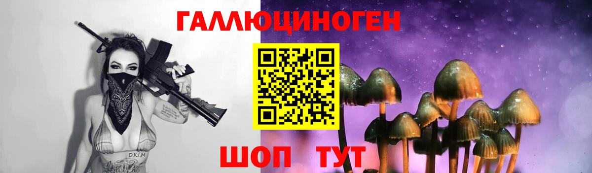 Галлюциногенные грибы Psilocybe  закладка  Вход с VPN  Гусев  Галлюциногенные грибы Psilocybine cubensis 
