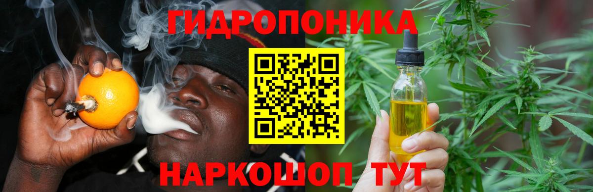 Бошки марихуана SATIVA & INDICA Гусев